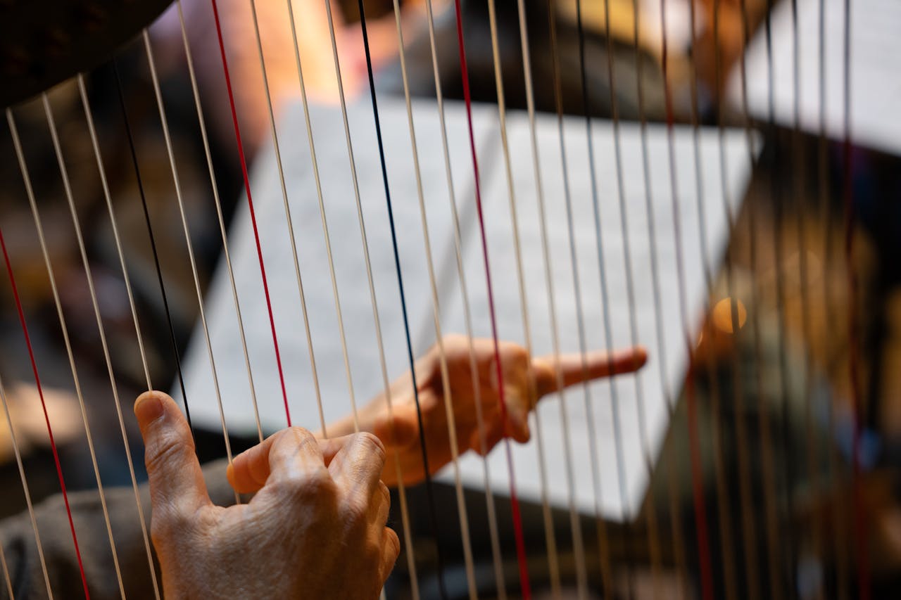 Allegromusique.fr vous permet aussi de prendre des cours de harpe chez vous !